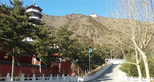 园林景观施工承建 荣艺 在线咨询 园林景观施工