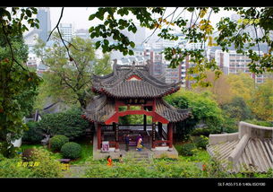 仿古建筑及园林
