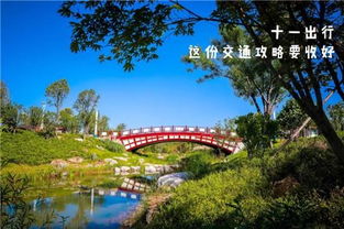 园博园秋季研学 赏景 实践 的双重体验