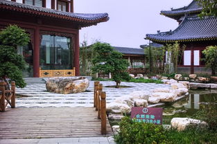 天津河滨公园 仿古建筑 3