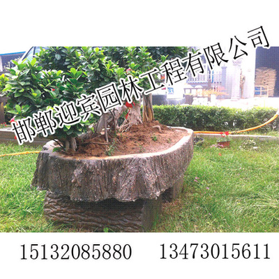 邢台美丽乡村园林产品